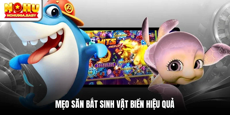 Mẹo săn bắt sinh vật biển hiệu quả